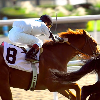Horse Racing