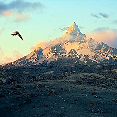  Lonely Mountain 