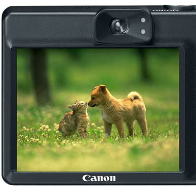  Viewfinder 