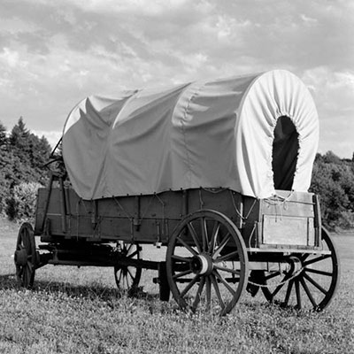 Wagon