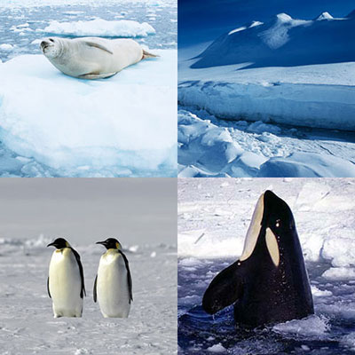 Antarctica