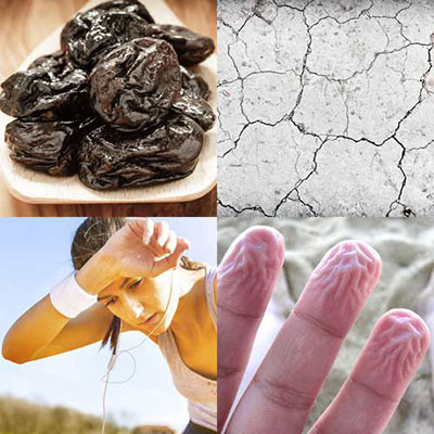 Dehydrated