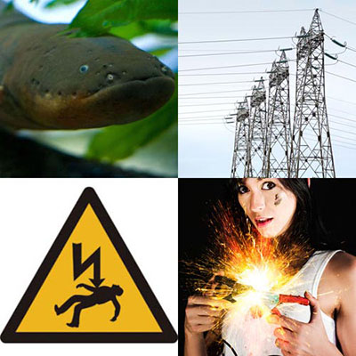 Electrocute