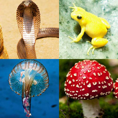 Poisonous