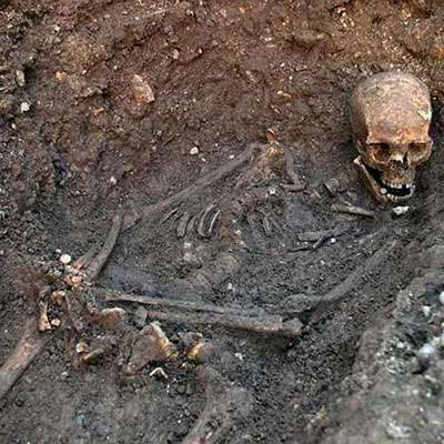  King Richard Iii 