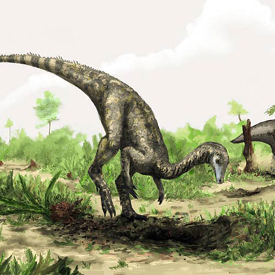  Nyasasaurus 
