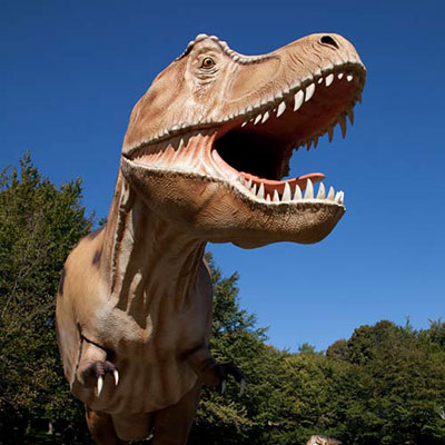 T Rex