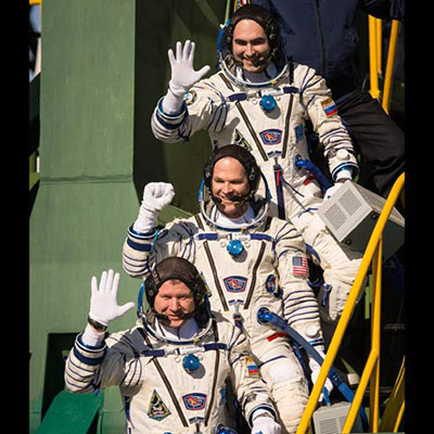 Crew Wave
