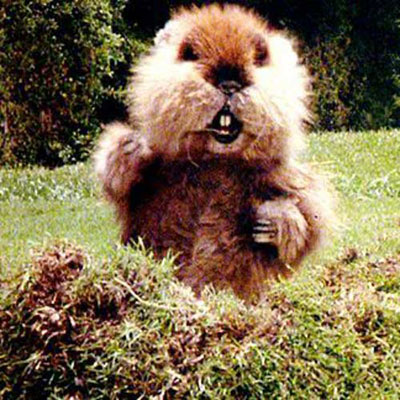 Caddyshack