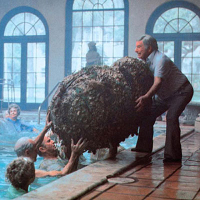 Cocoon