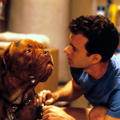 Turner And Hooch