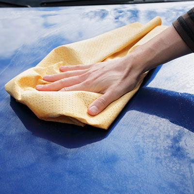 Chamois Leather