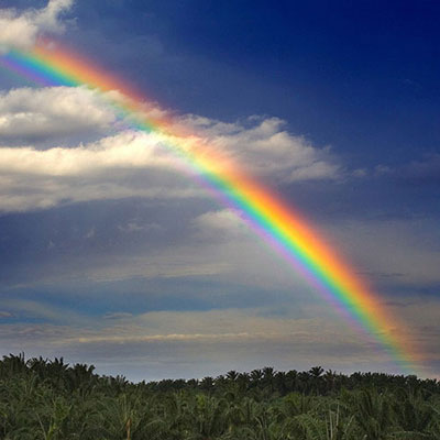 Rainbow