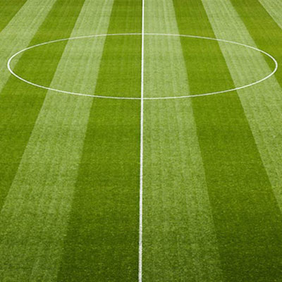 Soccer Pitch