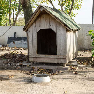 Doghouse