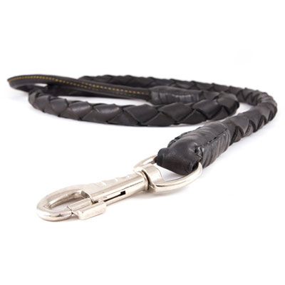 Leash