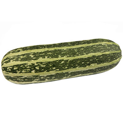  Squash 
