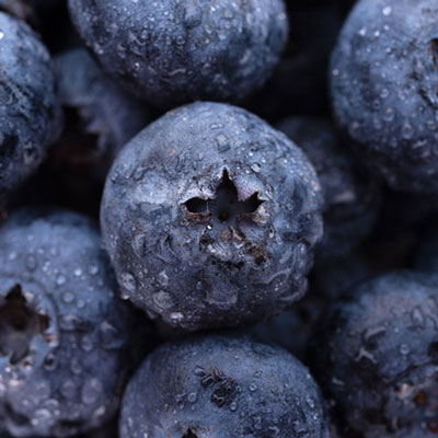 Blueberries