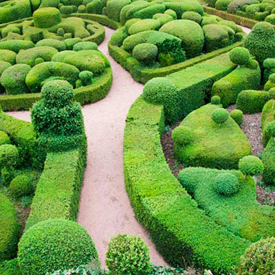 Maze