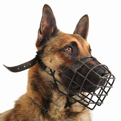 Muzzle