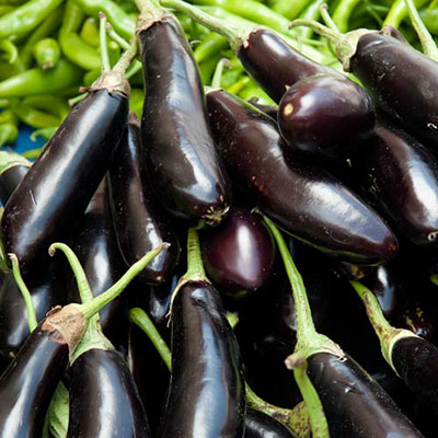Aubergine