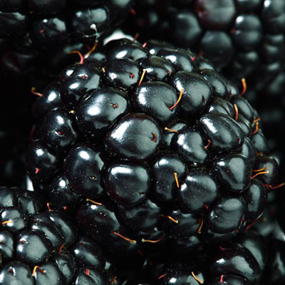 Blackberry
