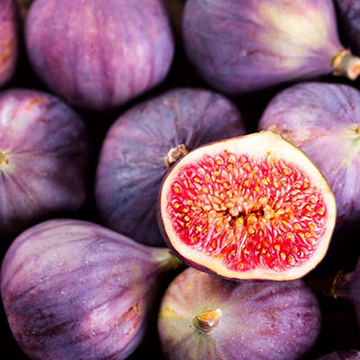 Fig