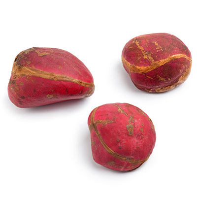 Kola Nut