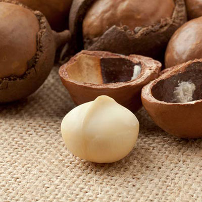  Macadamia Nut 