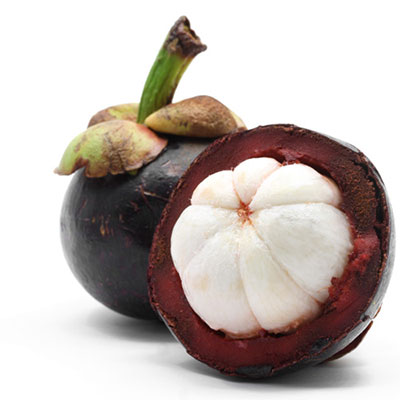  Mangosteen 