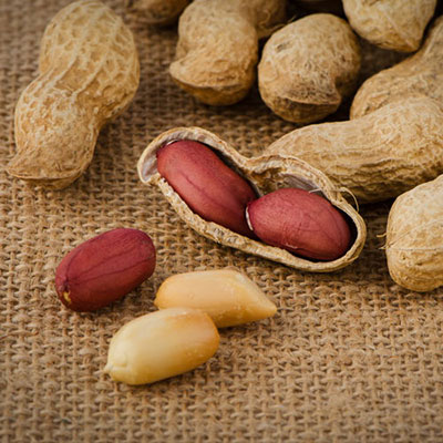 Peanut