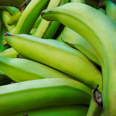 Plantain