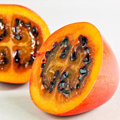  Tamarillo 