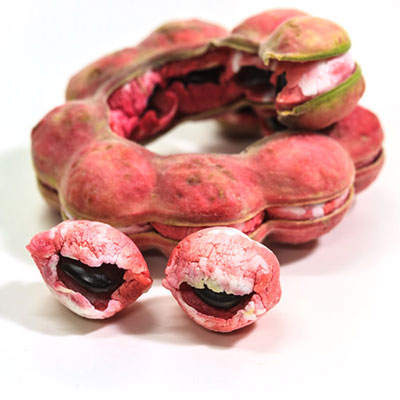  Tamarind 
