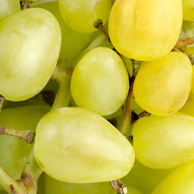  White Grape 