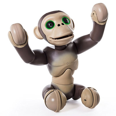 Zoomer Chimp