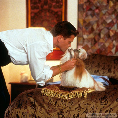Best In Show