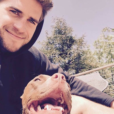 Liam Hemsworth