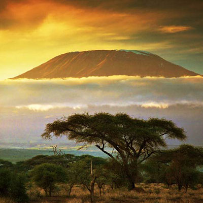 Kilimanjaro