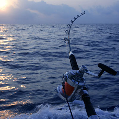  Deep Sea Fishing 