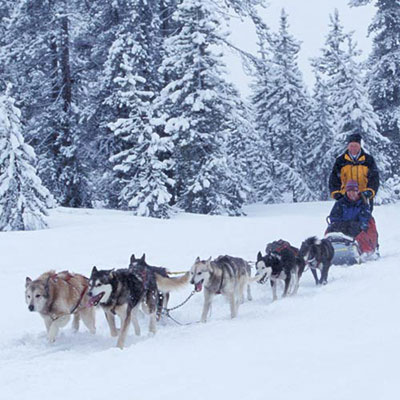 Husky Sledding