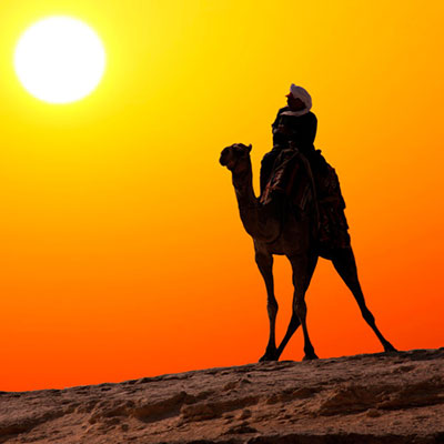  Ride A Camel 