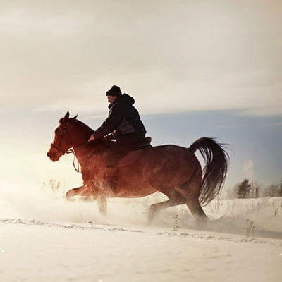  Ride A Horse 