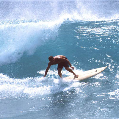 Ride A Wave