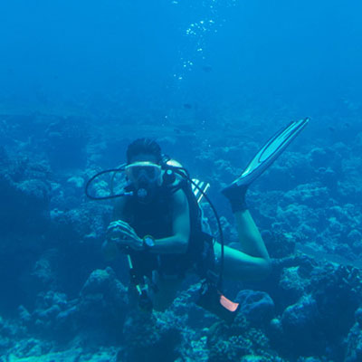 Scuba Dive