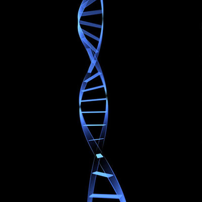 Dna