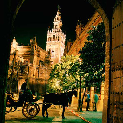 Horse & Carriage