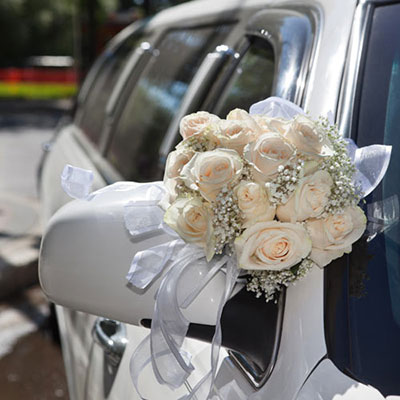  Limousine 