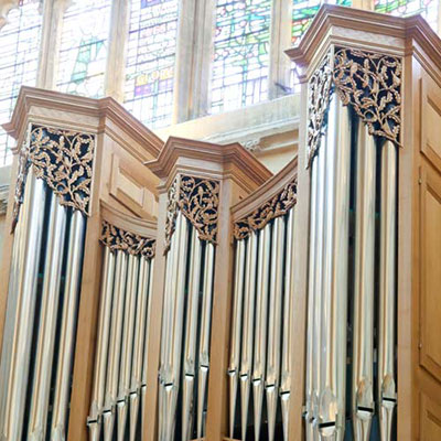 Organ