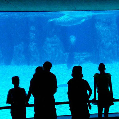 Aquarium